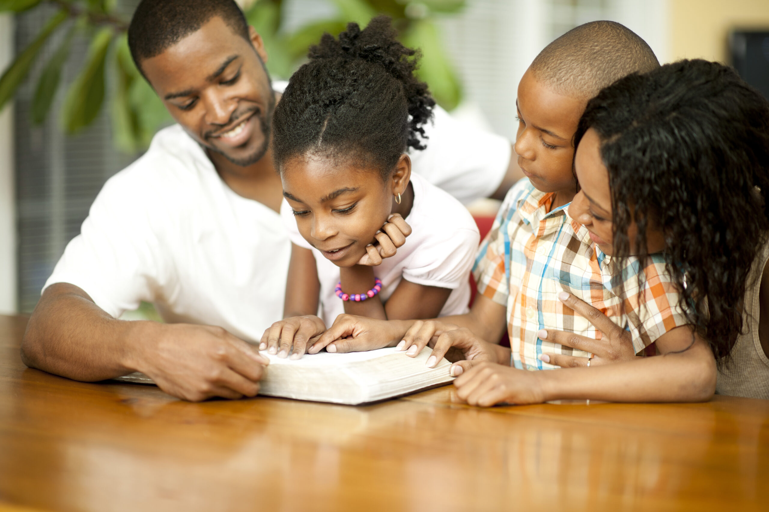 Teleion Books Page - Between Core Values and Bible copyright statement