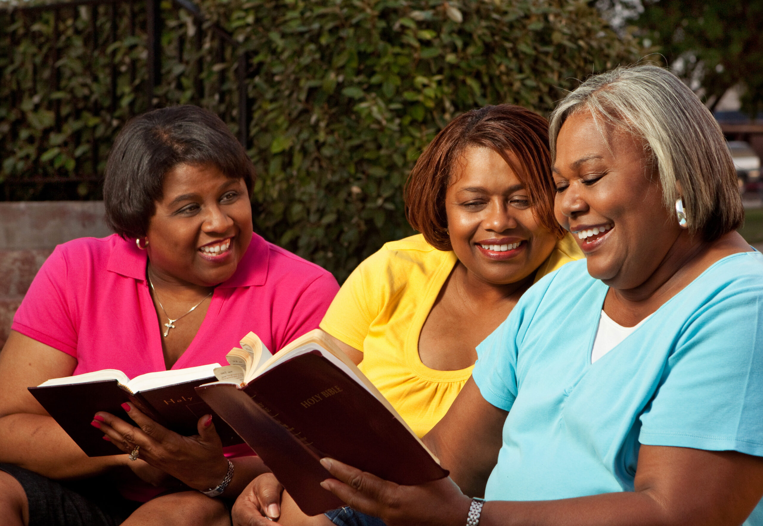 Teleion Books Page - Beside Publishing Program Principles